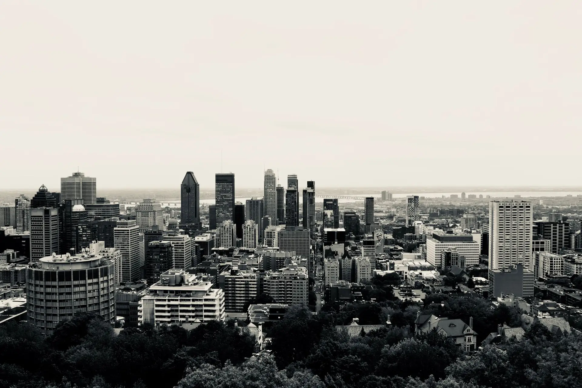 Team collaborating in a modern Canadian office