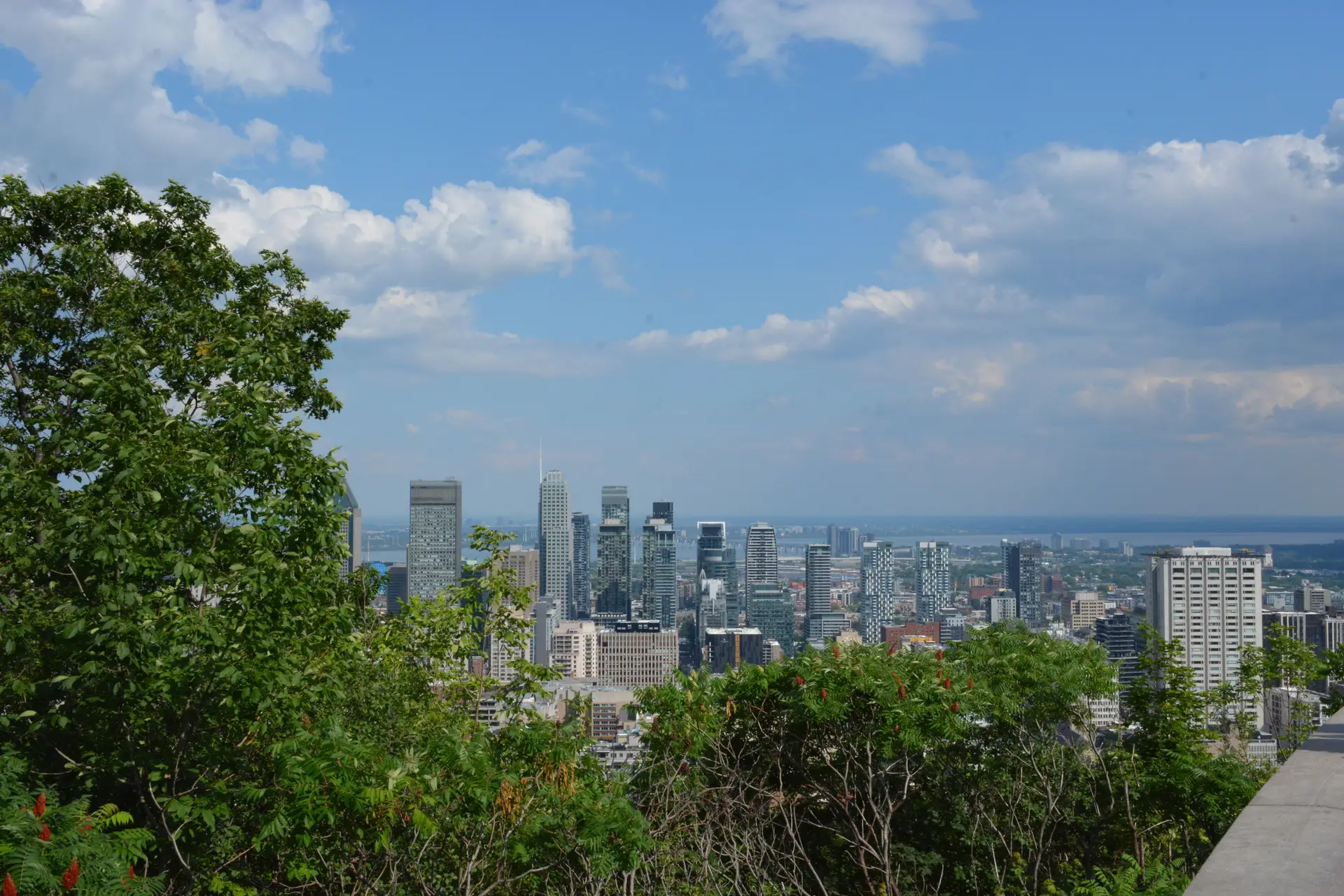 Montreal Skyline from Mount Royal